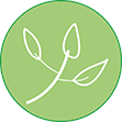 Grünpflege, Bad Vilbel, Hausmeisterservice, Bad Vilbel